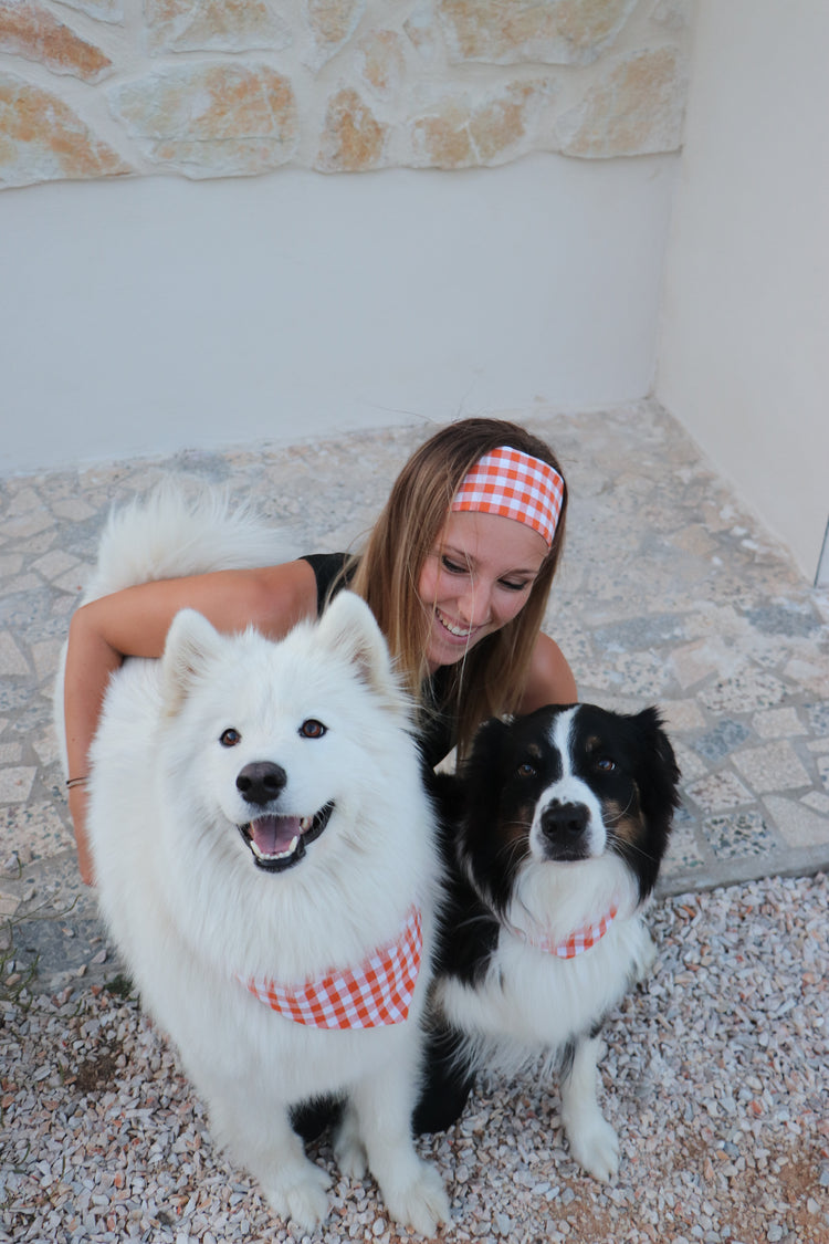 Les bandanas pour chiens
