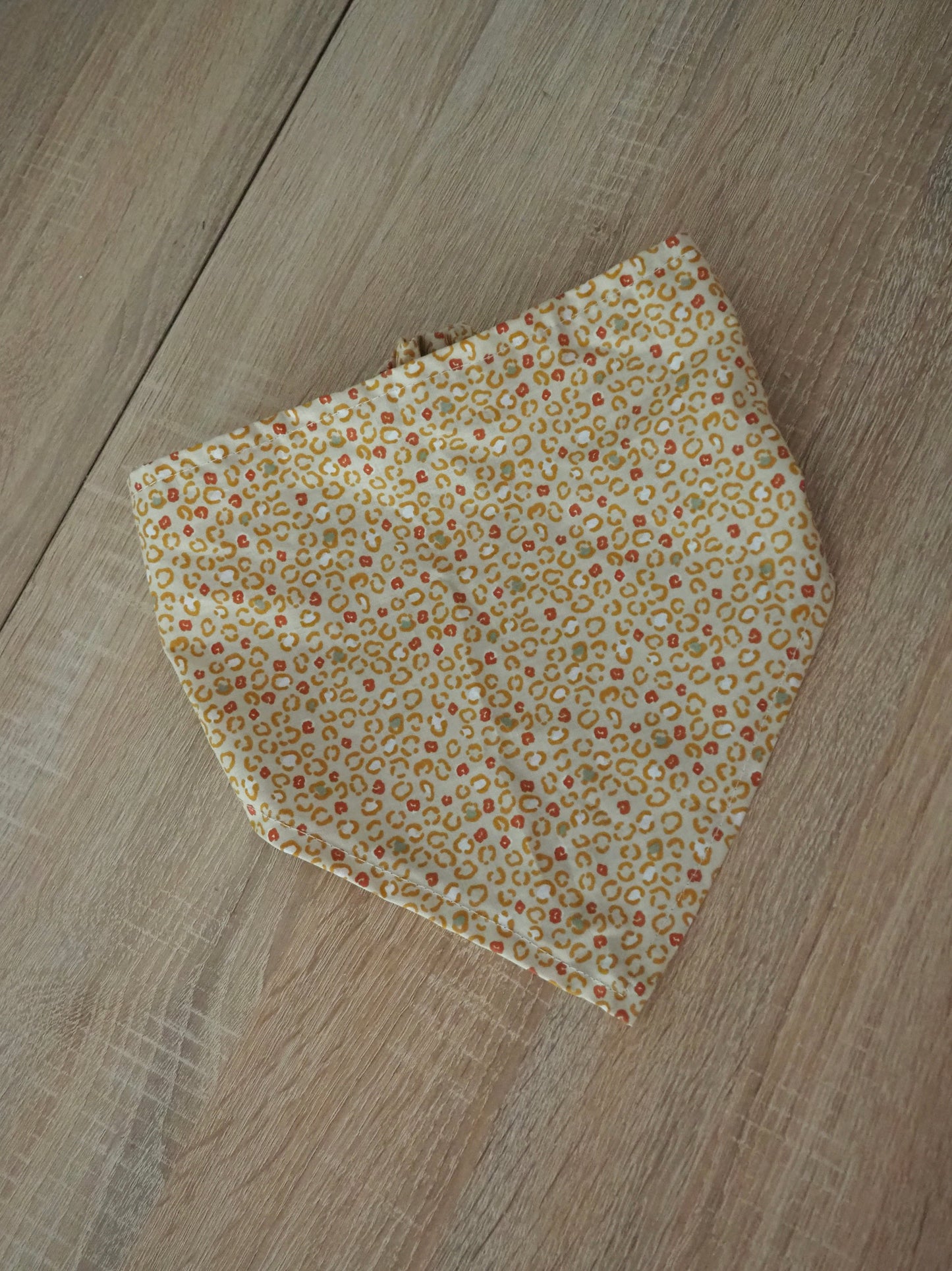 Bandana Lioré