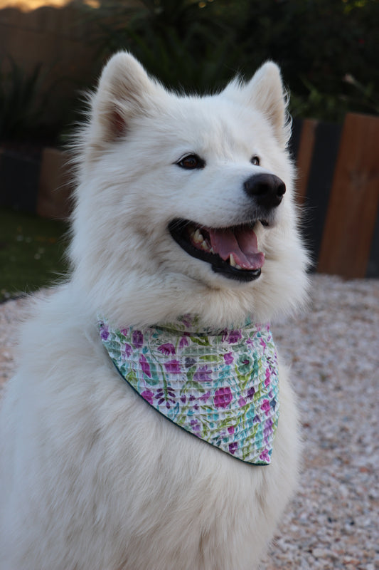 Bandana Suzy