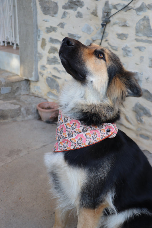 Bandana Tessy
