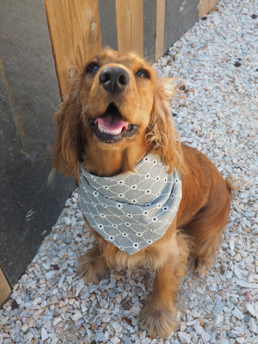 Bandana Usko