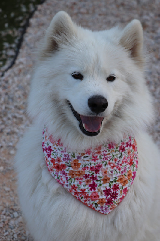Bandana Tina