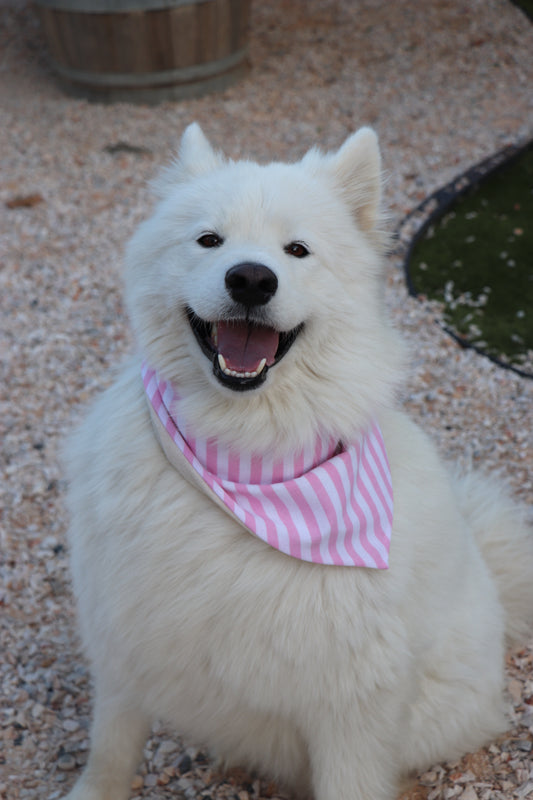 Bandana Rosy