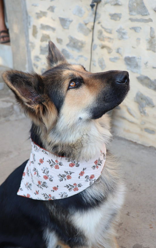 Bandana kiara